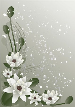 simsearch:400-06068658,k - Vector illustration -  fine blossoming lotus Stock Photo - Budget Royalty-Free & Subscription, Code: 400-03947698