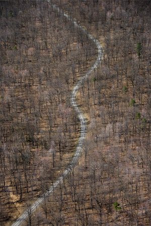 simsearch:400-03948660,k - Aerial view of winding rural road through baren forest. Stock Photo - Budget Royalty-Free & Subscription, Code: 400-03948632