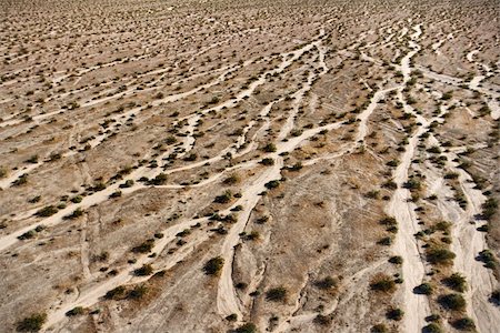 simsearch:400-03948680,k - Aerial view of desert landscape with washes and bushes. Foto de stock - Super Valor sin royalties y Suscripción, Código: 400-03948663