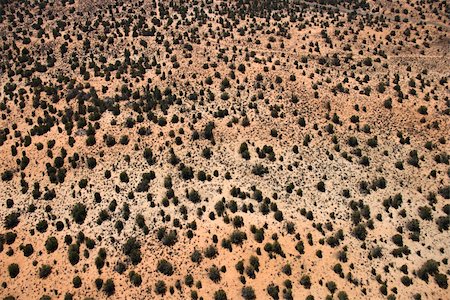 Aerial of low growing shrubs in desert landscape of Utah, USA. Stock Photo - Budget Royalty-Free & Subscription, Code: 400-03948687