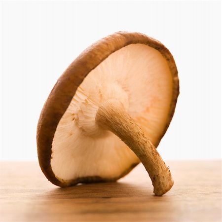 simsearch:632-03898513,k - Still life of single brown mushroom. Foto de stock - Super Valor sin royalties y Suscripción, Código: 400-03949221