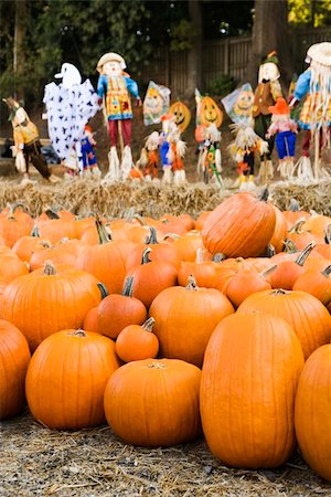 espantalho - Group of pumpkins sitting on ground at farmers market with yard decorations in background. Foto de stock - Royalty-Free Super Valor e Assinatura, Número: 400-03949363