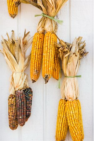Fall corn decorations. Photographie de stock - Aubaine LD & Abonnement, Code: 400-03949468