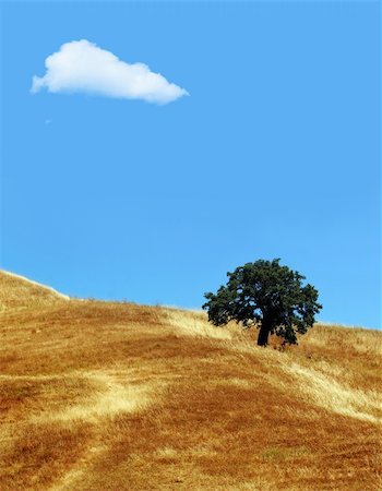 simsearch:400-07570603,k - Lonely cloud above California hills Stock Photo - Budget Royalty-Free & Subscription, Code: 400-03949543