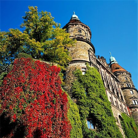 Castle taken from side in Poland Foto de stock - Super Valor sin royalties y Suscripción, Código: 400-03949860