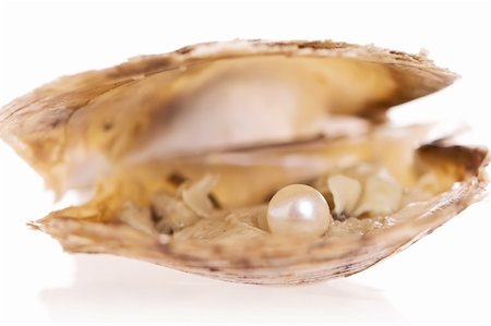 simsearch:400-03949975,k - Pearl inside an oyster shell Stock Photo - Budget Royalty-Free & Subscription, Code: 400-03949989