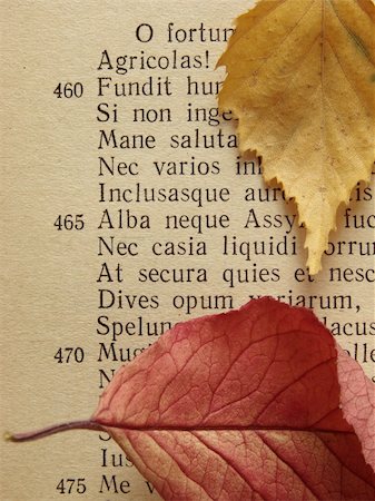 poésie - fragment of the page of Virgil's "Georgicon" (ancient agricultural didactic poem) with autumnal colorful leaves Photographie de stock - Aubaine LD & Abonnement, Code: 400-03940187