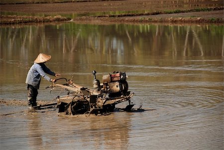 plough machine and farmer in the paddy field Stock Photo - Budget Royalty-Free & Subscription, Code: 400-03940456