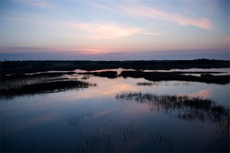 saladar - Sky reflecting in water in marsh area on Bald Head Island, North Carolina. Foto de stock - Super Valor sin royalties y Suscripción, Código: 400-03940572