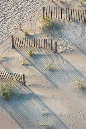 simsearch:400-04468776,k - Luftbild von Zäunen und Strandhafer am Strand Bald Head Island, North Carolina. Stockbilder - Microstock & Abonnement, Bildnummer: 400-03940607