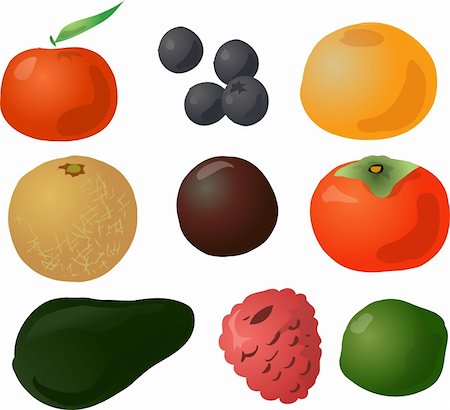 Illustration of fruits, hand-drawn look: tangerine, blueberries, grapefruit, melon, passionfruit, persimmon, avocado, raspberry, lime Stock Photo - Budget Royalty-Free & Subscription, Code: 400-03941101