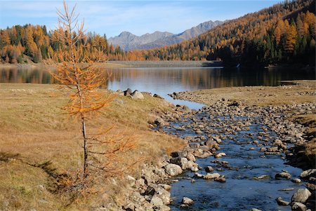 simsearch:400-07896204,k - Landscape with a limpid stream and a lake. Mountain in autumn with warm colors. Stock Photo - Budget Royalty-Free & Subscription, Code: 400-03941401
