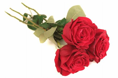 simsearch:400-03941928,k - Pondent de trois belles roses rouges sur fond blanc Photographie de stock - Aubaine LD & Abonnement, Code: 400-03941925