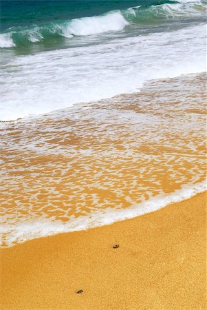 simsearch:400-04476833,k - Ocean wave advancing on a yellow sandy beach Foto de stock - Super Valor sin royalties y Suscripción, Código: 400-03942149