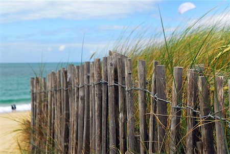 simsearch:400-08223992,k - Old wooden fence on a beach in Brittany, France Stock Photo - Budget Royalty-Free & Subscription, Code: 400-03942152