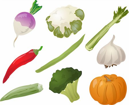 simsearch:622-06964418,k - Illustration of vegetables, hand-drawn look: turnip, cauliflower, celery, chilli, stringbean, garlic, okra, brocolli, pumpkin. Vector illustration Photographie de stock - Aubaine LD & Abonnement, Code: 400-03942176