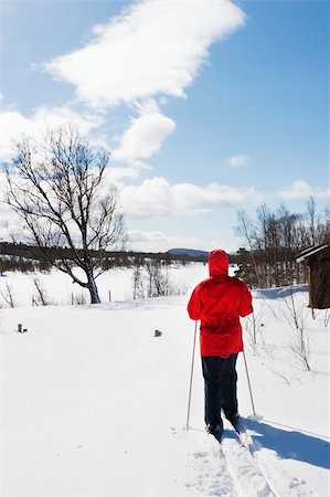 simsearch:400-04470085,k - A skier on a wintery snow filled landscape. Stockbilder - Microstock & Abonnement, Bildnummer: 400-03942234