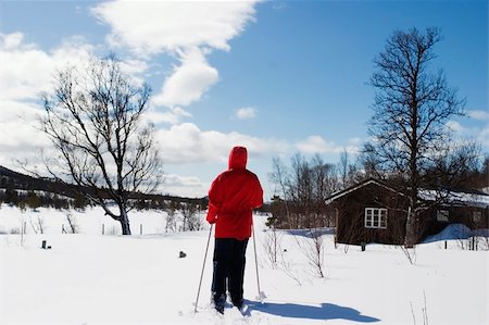 simsearch:400-04470085,k - A skier on a wintery snow filled landscape. Stockbilder - Microstock & Abonnement, Bildnummer: 400-03942235