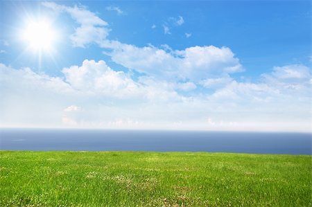 simsearch:400-03968355,k - Fresh green grass on bright sunny day and sea in the background Stock Photo - Budget Royalty-Free & Subscription, Code: 400-03942340
