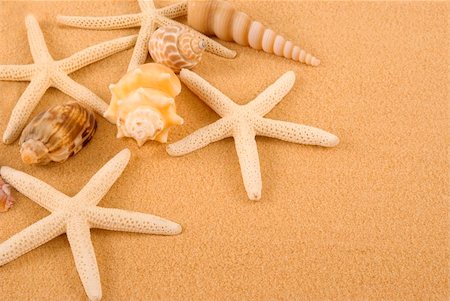 Starfish and seashells on golden sand Stock Photo - Budget Royalty-Free & Subscription, Code: 400-03942901