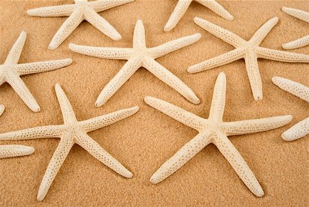 simsearch:400-03916547,k - Starfish on sand Foto de stock - Super Valor sin royalties y Suscripción, Código: 400-03942903