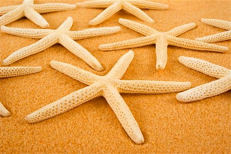 Starfish on golden sand Foto de stock - Royalty-Free Super Valor e Assinatura, Número: 400-03942911