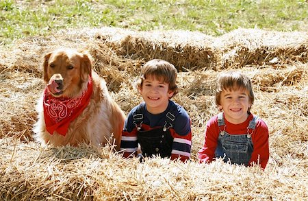 Little Farmers Sitting in the Hay with Their Dog Stock Photo - Budget Royalty-Free & Subscription, Code: 400-03943075