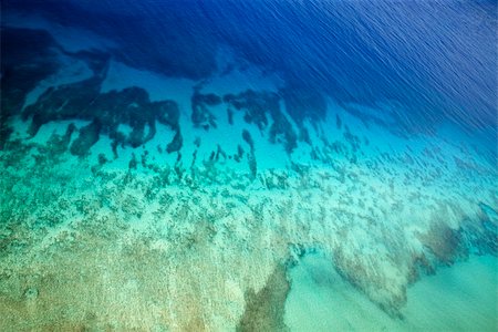 simsearch:400-03925518,k - Colorful tropical ocean floor seen through clear water. Stockbilder - Microstock & Abonnement, Bildnummer: 400-03943237