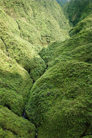 Aerial view of rainforest valley in Maui, Hawaii. Stock Photo - Budget Royalty-Free & Subscription, Code: 400-03943231