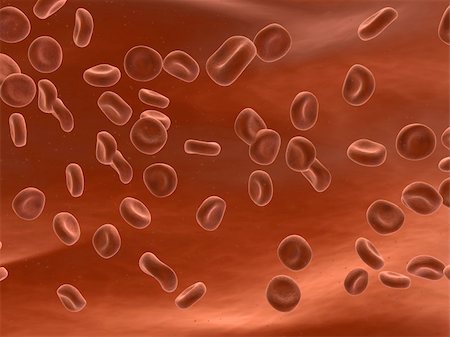 sera - 3d rendered close up of streaming red blood cells Stock Photo - Budget Royalty-Free & Subscription, Code: 400-03954577