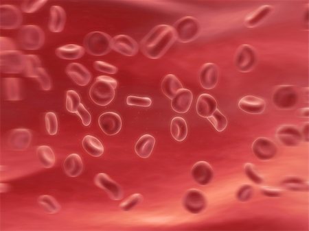 sera - 3d rendered close up of streaming red blood cells Stock Photo - Budget Royalty-Free & Subscription, Code: 400-03954580