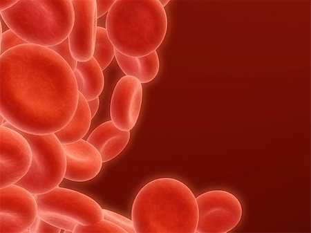 sera - 3d rendered close up of many streaming red blood cells Stock Photo - Budget Royalty-Free & Subscription, Code: 400-03954609