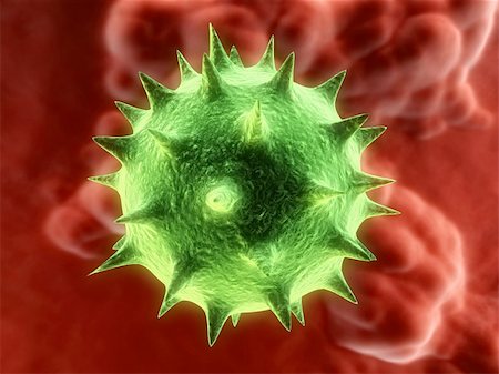 sera - 3d rendered illustration of an isolated virus Stock Photo - Budget Royalty-Free & Subscription, Code: 400-03954619