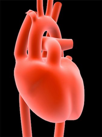 simsearch:700-00037198,k - 3d rendered anatomy illustration of a human heart Stock Photo - Budget Royalty-Free & Subscription, Code: 400-03954846