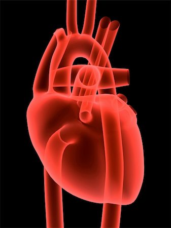 simsearch:400-04008687,k - 3d rendered anatomy illustration of a human heart Photographie de stock - Aubaine LD & Abonnement, Code: 400-03954847