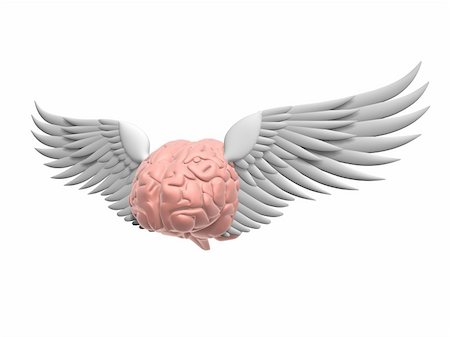 simsearch:400-05120940,k - 3d rendered illustration of a human brain with wings Photographie de stock - Aubaine LD & Abonnement, Code: 400-03954877