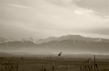 Misty Carpathians in Romania Photographie de stock - Aubaine LD & Abonnement, Code: 400-03955966