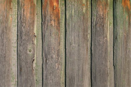 slab (not food) - wood boards texture Stock Photo - Budget Royalty-Free & Subscription, Code: 400-03956289