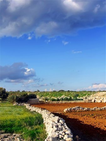 Agriculture imagery. Rich soil and crops in the Mediterranean. Stock Photo - Budget Royalty-Free & Subscription, Code: 400-03956463