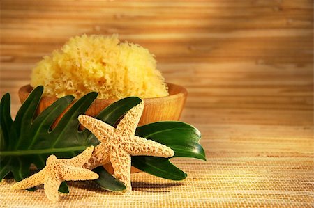 seagrass - Sea sponge and wooden bowl with leaf and starfish Stock Photo - Budget Royalty-Free & Subscription, Code: 400-03956776