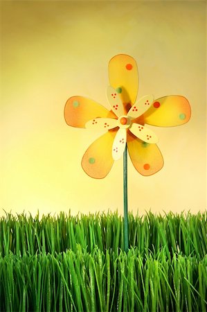 simsearch:400-04815627,k - Multi-coloured windmill toy standing in the grass Fotografie stock - Microstock e Abbonamento, Codice: 400-03956786