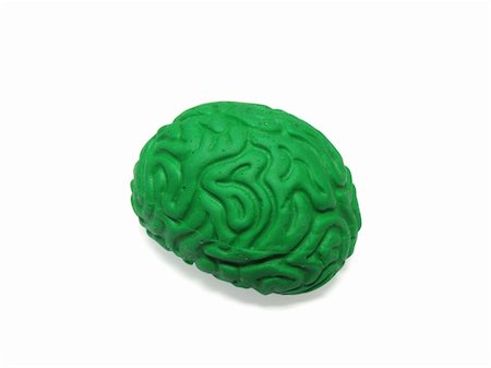 simsearch:400-05120940,k - Green plastic model of the hunam brain isolated on white background. Contains Clipping Path Photographie de stock - Aubaine LD & Abonnement, Code: 400-03957548