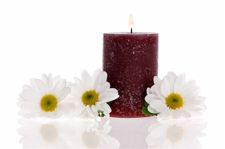 simsearch:400-03950235,k - Daisies and a candle isolated Photographie de stock - Aubaine LD & Abonnement, Code: 400-03950240