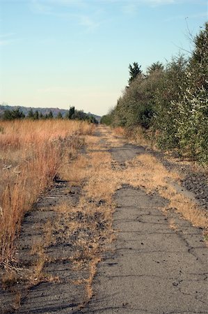 simsearch:400-05875359,k - An old Abandoned Road with trees Photographie de stock - Aubaine LD & Abonnement, Code: 400-03950459