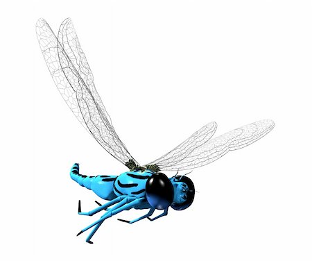 fly (insect) - 3D blue dragonfly with transparent wings and big eyes Stock Photo - Budget Royalty-Free & Subscription, Code: 400-03951055