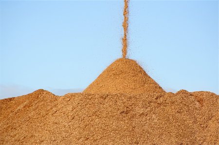 simsearch:400-04909076,k - Pile of pouring wood chips Stock Photo - Budget Royalty-Free & Subscription, Code: 400-03951724