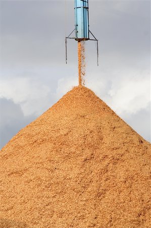 simsearch:400-04909076,k - Pile of pouring wood chips Stock Photo - Budget Royalty-Free & Subscription, Code: 400-03951723