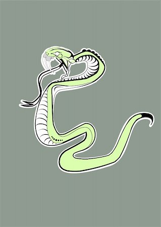 Vector illustration. Green  Snake Stock Photo - Budget Royalty-Free & Subscription, Code: 400-03952226