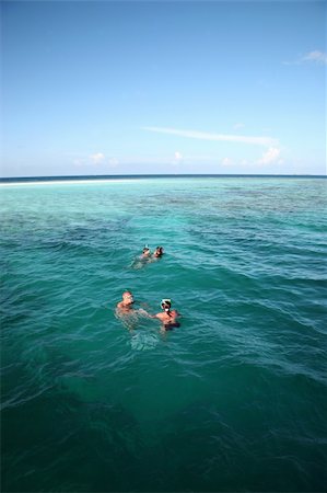 simsearch:400-05362195,k - Snorkeling in the Indian ocean - Maldives Foto de stock - Royalty-Free Super Valor e Assinatura, Número: 400-03952825