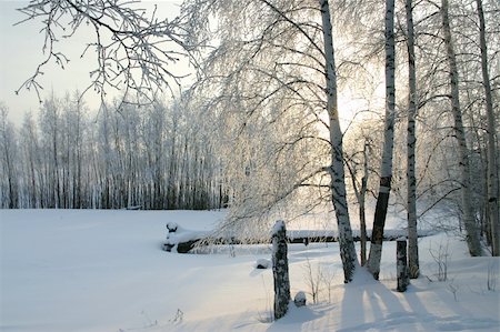 The Winter. The Freezing day. The Snow rests upon the land and tree. Fotografie stock - Microstock e Abbonamento, Codice: 400-03953367